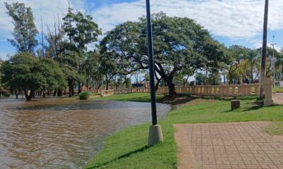 Radio News Media Los Charrúas